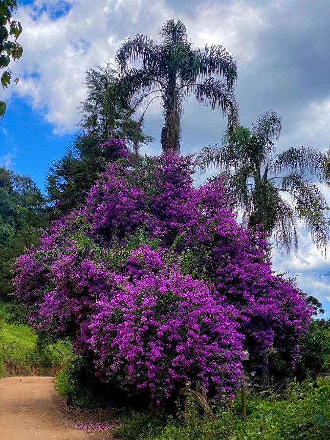 Canto Das Aguas Alagoa 外观 照片